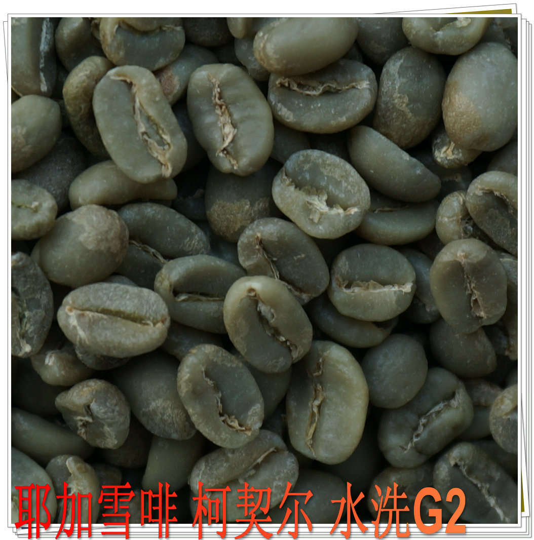 2022 Coffee Raw Bean Ethiopia Yeja Sheffie Wash G2 Soybean Speculation