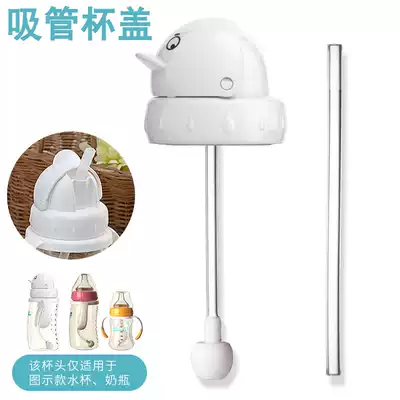Iskar bottle straw cover Kettle cup head ppsu Penguin water cup Training cup head Water cup cover