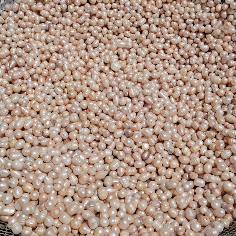 Pearls Natural freshwater pearls 500g, pearl grains, Chinese medicinal materials, free polishing pure pearl powder mask powder