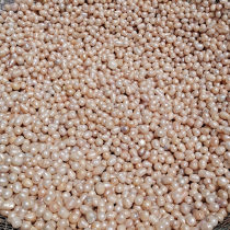 Pearl Natural Freshwater Pearl 500 gr Pearl Grain Medium Medicinal Herbs Free Polished Pure Pearl Powder Mask Powder