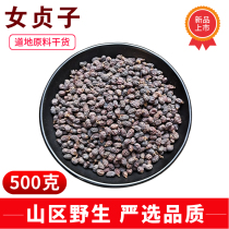 Glossy privet 500g Chinese herbal medicine raw wild female real tea bubble wine winter turquoi grindi powder hitch dry lotus grass
