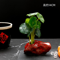 Daily material sashimi swaying trays decorated with flower and grass dishes decorated with cold vegetable dishes decorated with small swinging pieces hotel small lotus leaf creative decorations