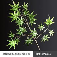 Переходные клей куриные ноги (темно -зеленый)