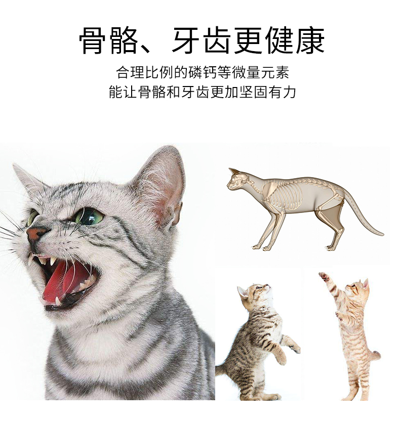 Guo Lipai mèo con mèo con tự nhiên thức ăn cho mèo 1-4 tháng 5 lần vắt sữa sữa thành mèo 1 kg cố gắng ăn - Cat Staples hạt thức ăn cho mèo