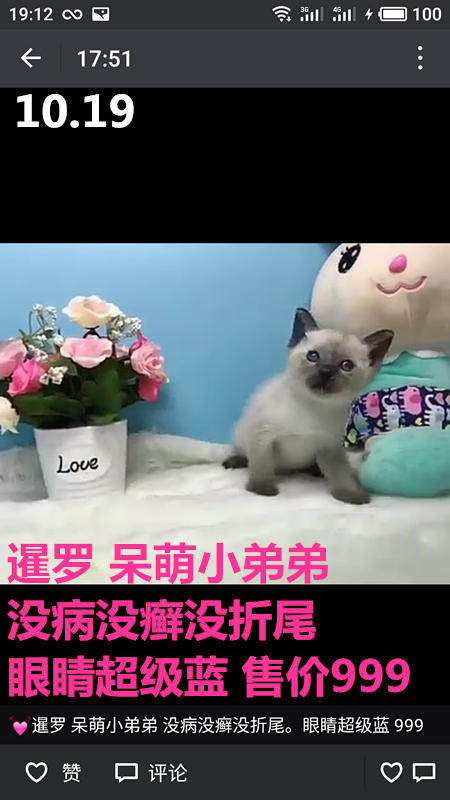 Другие 出售家养可爱粘人其它宠物品种齐全76