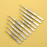 304#Экспериментальная линия биологической линии анатомии.