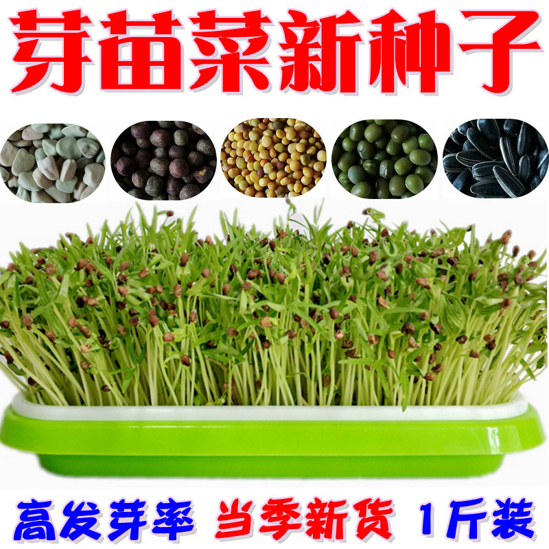 Oil sunflower radish linseed mung bean soybean cabbage hemp pea balcony four seasons bean sprouts seedling tray