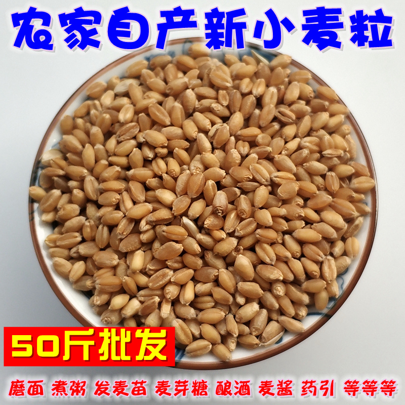 50 pounds of wheat farmers eat macsauce high reinforced wheat grinding feed and barn wheat