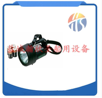 UK imported Wolf Wolf brand H-4DC explosion-proof flashlight