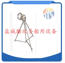 British original imported original British Wolf Wolf brand A-TL45 explosion-proof gas vertical electric lamp