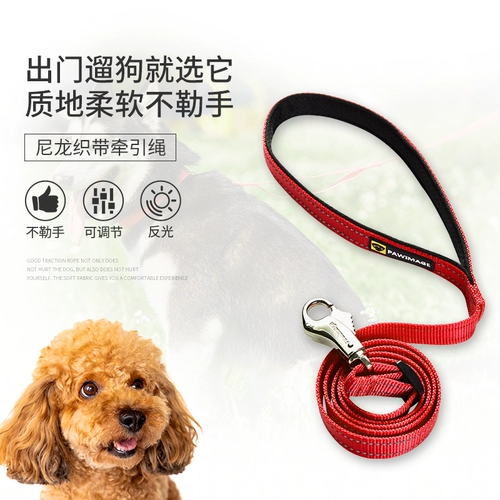 Pawimage Собака