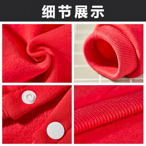 Золотая собака Mao Dog Большие собаки осень зимняя осень и зима Tedsama Huskyrabrado Pett Petts зимой