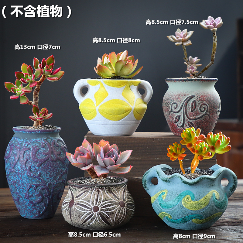 The Fleshy coarse pottery flowerpot ceramic creative special offer a clearance small old running the breathable large - diameter meat meat the plants flower pot