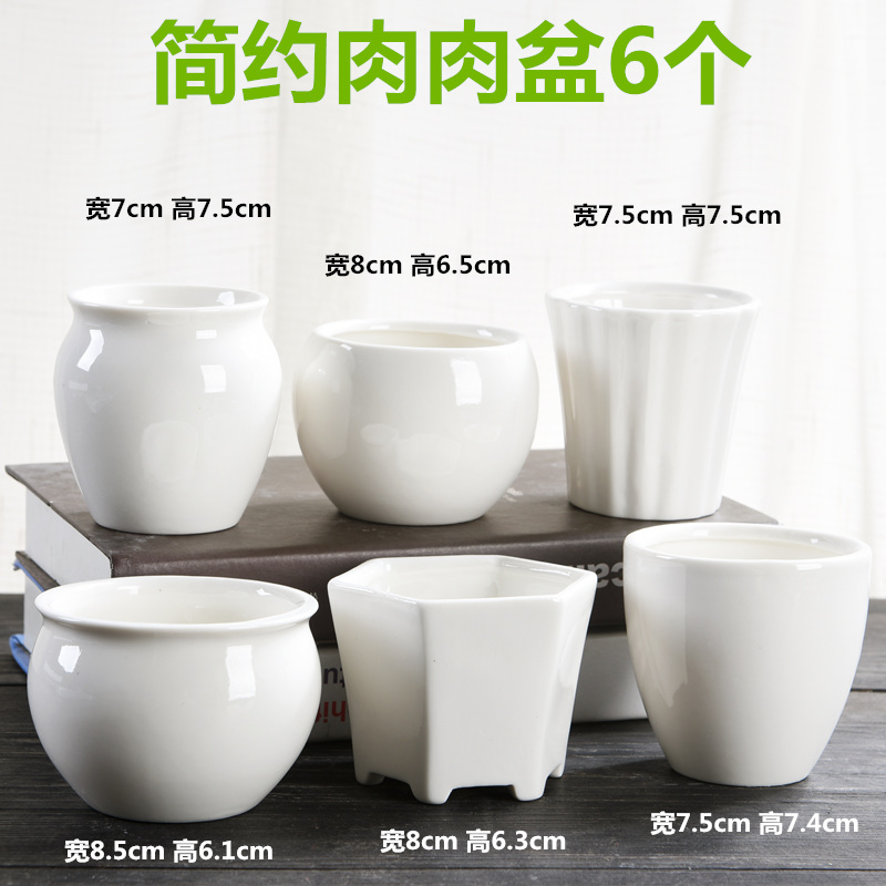 Sextuplet fleshy flowerpot ceramic white contracted meat meat the plants flower pot in special offer a clearance creative move