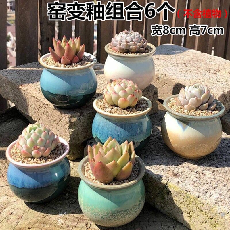 The Fleshy coarse pottery flowerpot ceramic creative special offer a clearance small old running the breathable large - diameter meat meat the plants flower pot