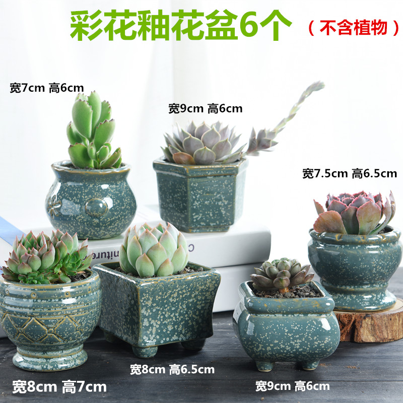 The Fleshy coarse pottery flowerpot ceramic creative special offer a clearance small old running the breathable large - diameter meat meat the plants flower pot