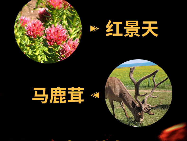 Bắn 1 vòng 4 chai] Viên nang nam giới Epimedium sản phẩm sức khỏe không phải viên Maca tăng độ bền lâu cho nam chính hãng - Thực phẩm sức khỏe thuốc bổ mắt omega 3