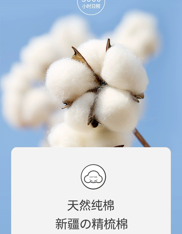 Đồ lót của phụ nữ Nam Cực của phụ nữ giữa eo cotton kháng khuẩn liền mạch mẹ cao eo bụng thoáng khí quần sịp - Tam giác