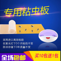 IED dedicated sticker mosquito lamp sticky off cang ying zhi mosquitoes stickers plate flying insects zhan bu-mie wen zhi