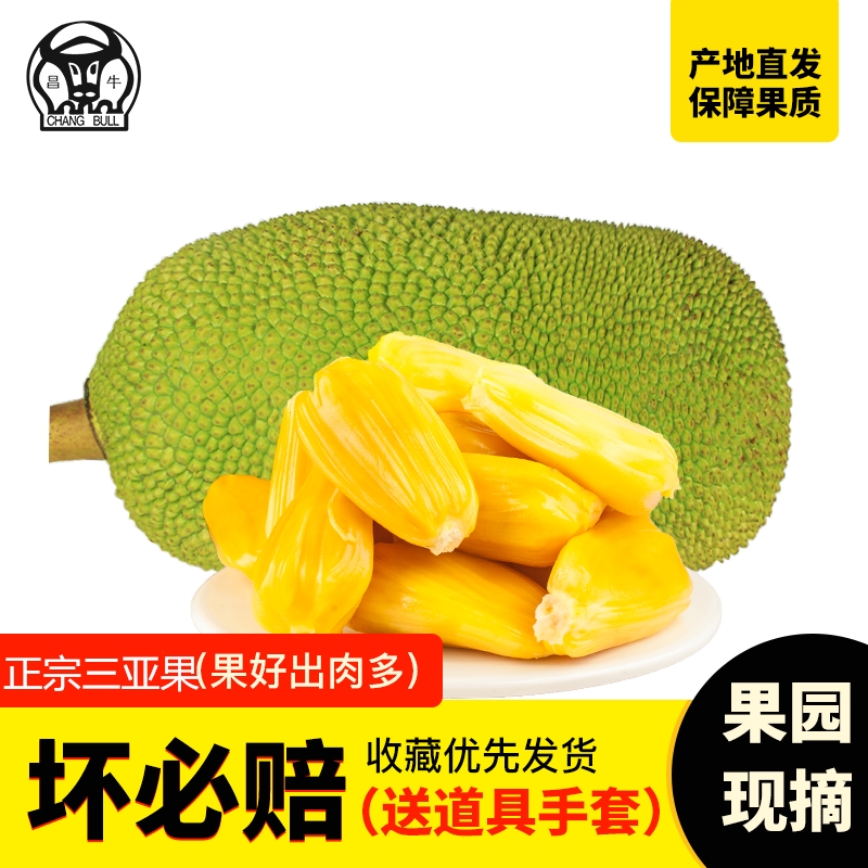 昌牛 三亚新鲜菠萝蜜 22-25斤中果 天猫优惠券折后￥78包邮（￥98-20）