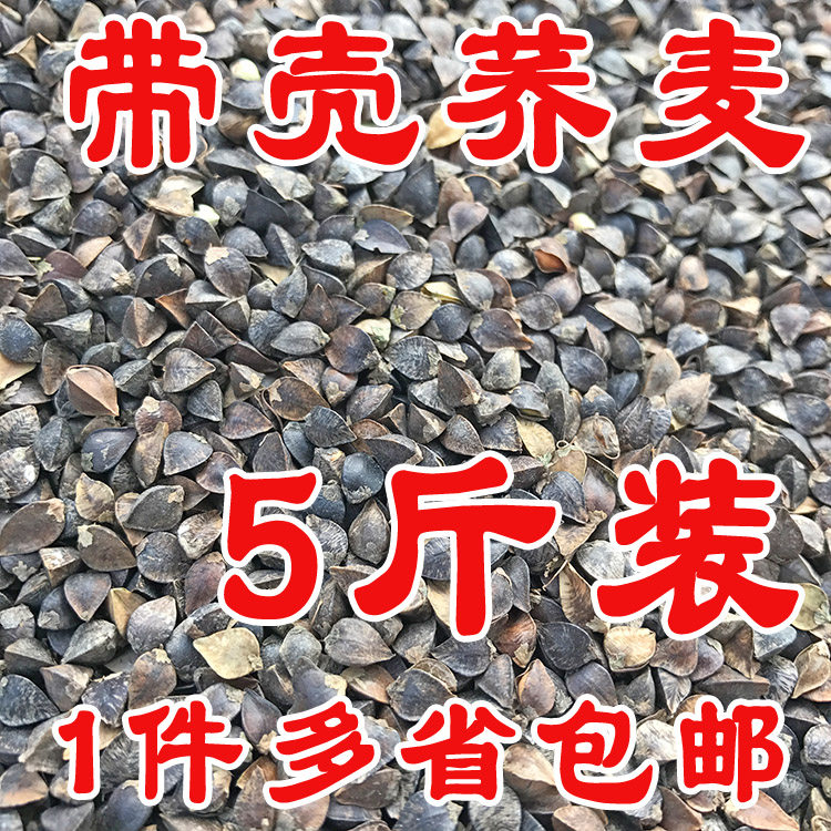 Buckwheat shelled buckwheat homing pigeon ornamental pigeon parrot bird food hamster chinchilla grain a piece of five catties