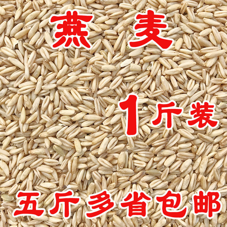 Oats, bird food, bird food, brome, wild wheat, oat kernel, budgerigar, peony and Xuanfeng, 500 grams