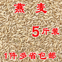 Oatmeal bird food bird food tiger skin Phoenix peony parrot pigeon grain 5 catties 20 provinces across the country