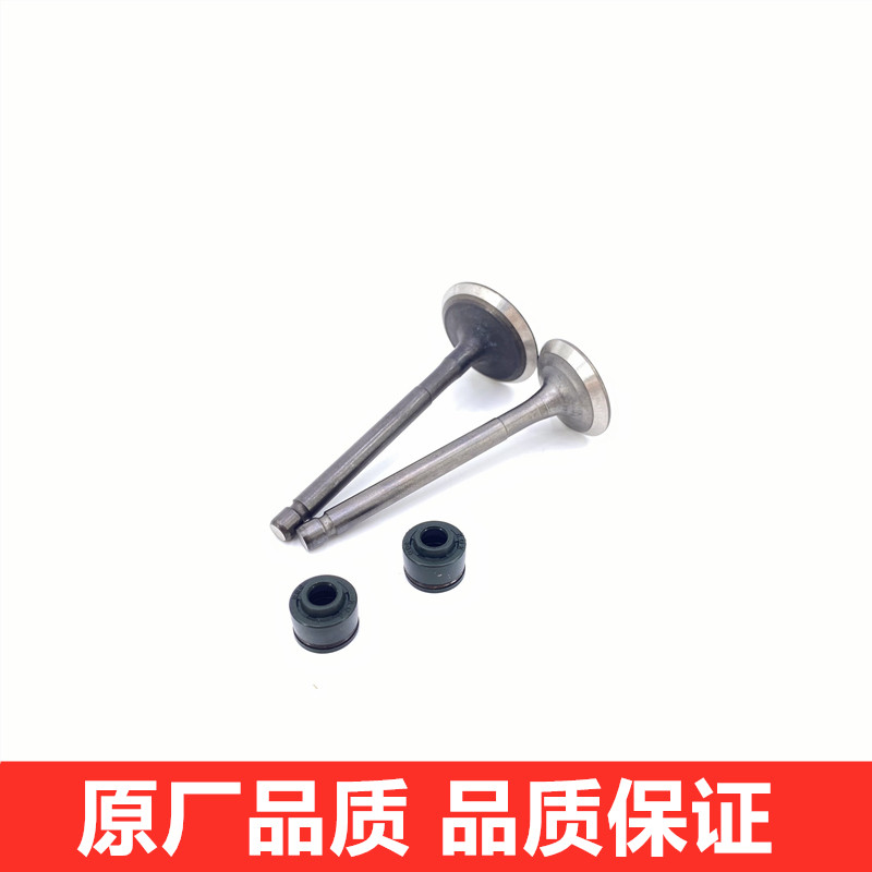 Suitable for Suzuki Kokusan's new Neptune UA125T-A Denon Star T-3 engine cylinder head valve oil seal