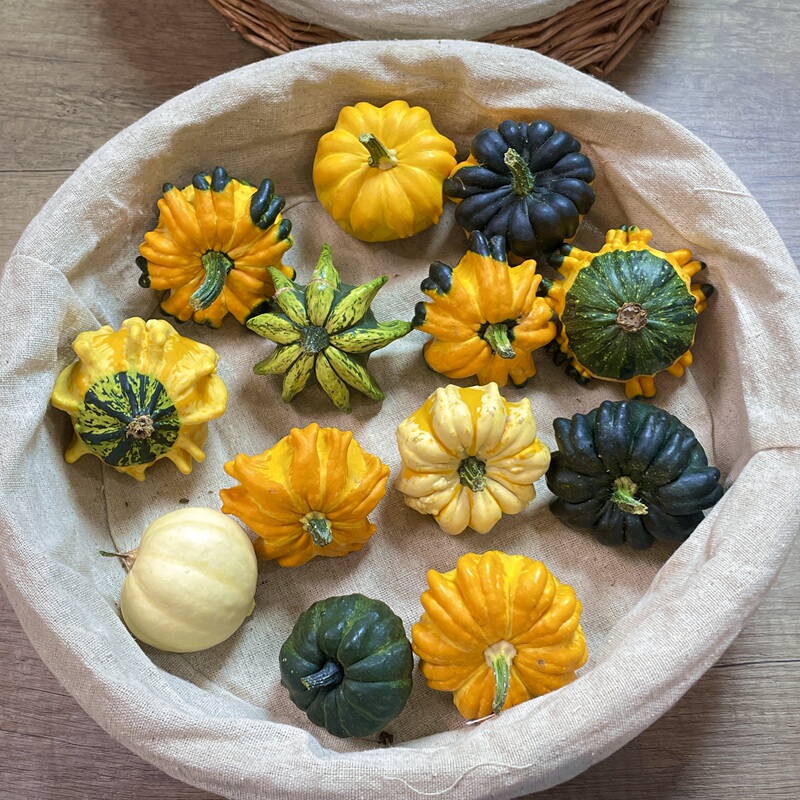 Real Pumpkin Decorative Ornaments: Cute and Unique Toy Figures for Display, Tea Pets, Halloween Real Pumpkin Decorative Ornaments: Cute and Unique Toy Figures for Display, Tea Pets, Halloween