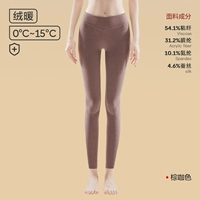 【80 Шелковый белок бархатный нагрев сгущенной и тонкий бархат】 Женский высокий коричневый цвет талию