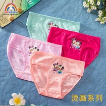 Baby Underpants Kids Girl Underwear Cartoon Character Printi