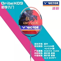 DX-09 I Светлый порошок