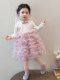 Girls' Princess-Style Dress Set, Spring Fashionable Puffy Cake Skirt, Baby Girl's Mesh Long-Sleeved Chinese-Style Skirt
