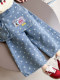 Girls' Denim Wide-Leg Pants, New Spring and Autumn Stylish Korean-Style Star Print Layered Long Pants, Children's Casual Pants