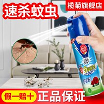 Lam chrysanthemum insecticide aerosol quick kill home insect pest control fly cockroach Ant flea indoor mosquito repellent spray