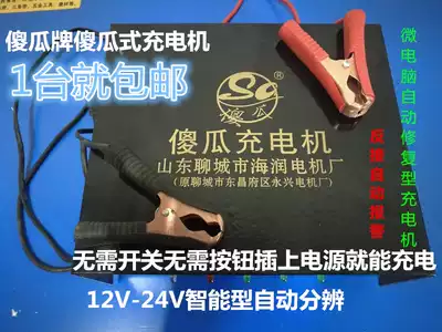 12V-24V intelligent variable frequency battery charger charger fool charger micro computer repair type