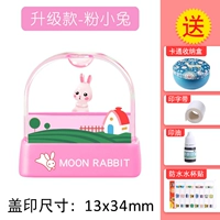 Crystal Model-Small Pink Rabbits (Замечания детское имя) +Подарочный пакет стипендии