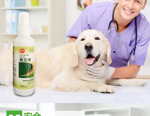 Nhảy vào ống nghiệm Teddy bed puppy dog ​​dog cung cấp chó tẩy giun cho mèo và chó diệt côn trùng tẩy giun cho mèo con ngoài bọ chét xịt côn trùng