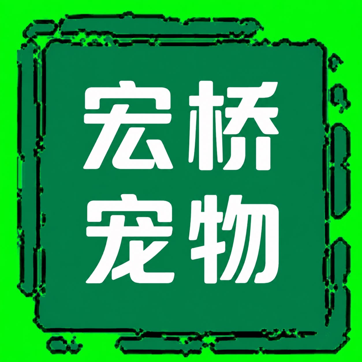 宏桥宠物