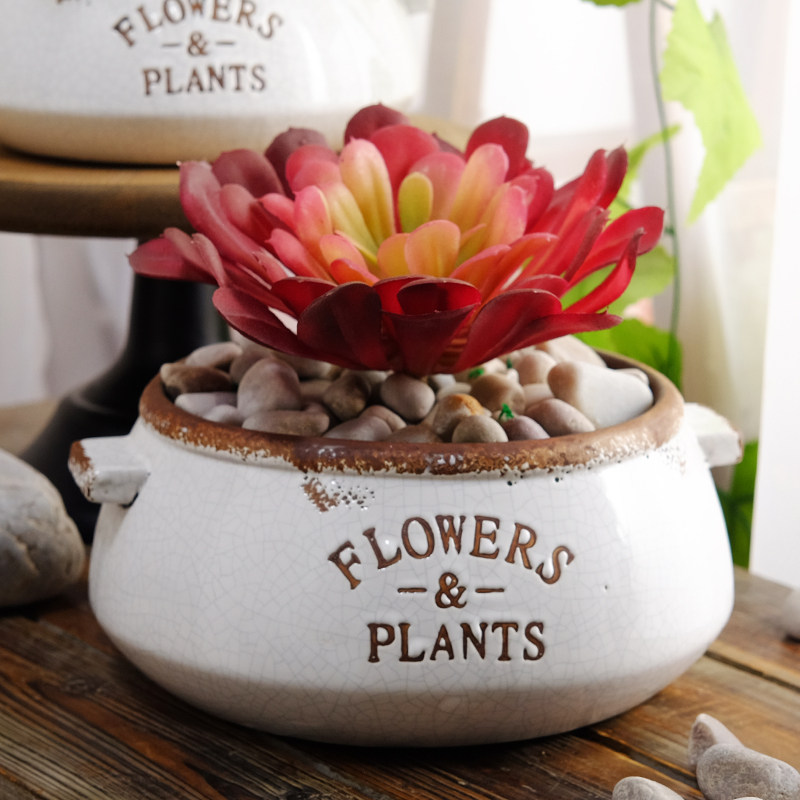 Creative casserole flowerpot living room office succulent plant potted home mini personality four seasons ceramic flowerpot