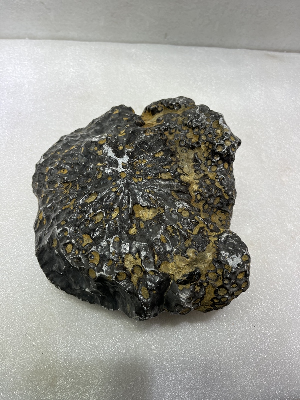 A Premium Quality Coral Fossil Stone Weighing 4.7kg Grams, Natural and Non-Magnetic