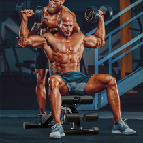 Fitness Room Professional Dumbbells Bench Bar Bell Bedroom Pushchair Commercial Multifunction Fitness Chair Fitness Equipment Home Men