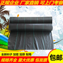 Grass cloth weeding cloth durable pe agricultural horticultural orchard fruit tree greenhouse shading breathable ground cloth ecological grass cloth