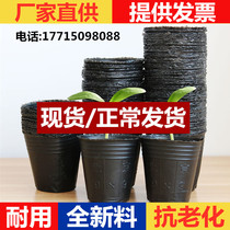 Nutritional bowl seedling pot disposable flower pot plastic planting plug nutrition Cup nursery bag soil artifact nursery Cup