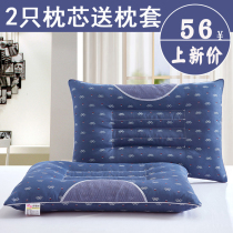 Whole head pillow pillow core plus pillowcase flat low pillow thin stiff buckwheat Cassia pair for Home Soft