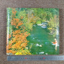 An old photo album from the 80s and color old photos