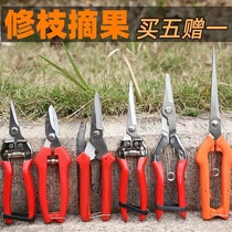 Pruning fruit tree pruning scissors Gardening pruning branches Garden labor-saving pruning branch scissors Household powerful scissors artifact