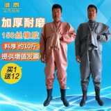 Толстые 150 шелковых раскопок