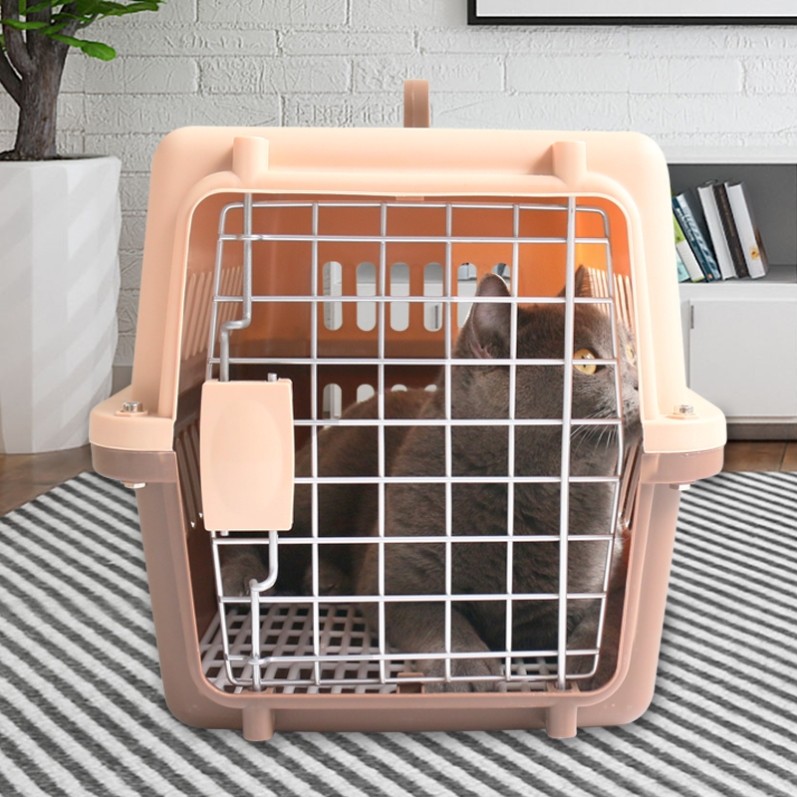 Airplane handbag dog large dog transports large cat cat cat puppy small dog out of cat cage box