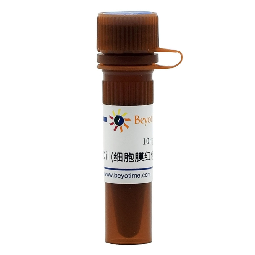 碧云天 C1036 DiI细胞膜红色荧光探针10mg C1991S 染色试剂盒